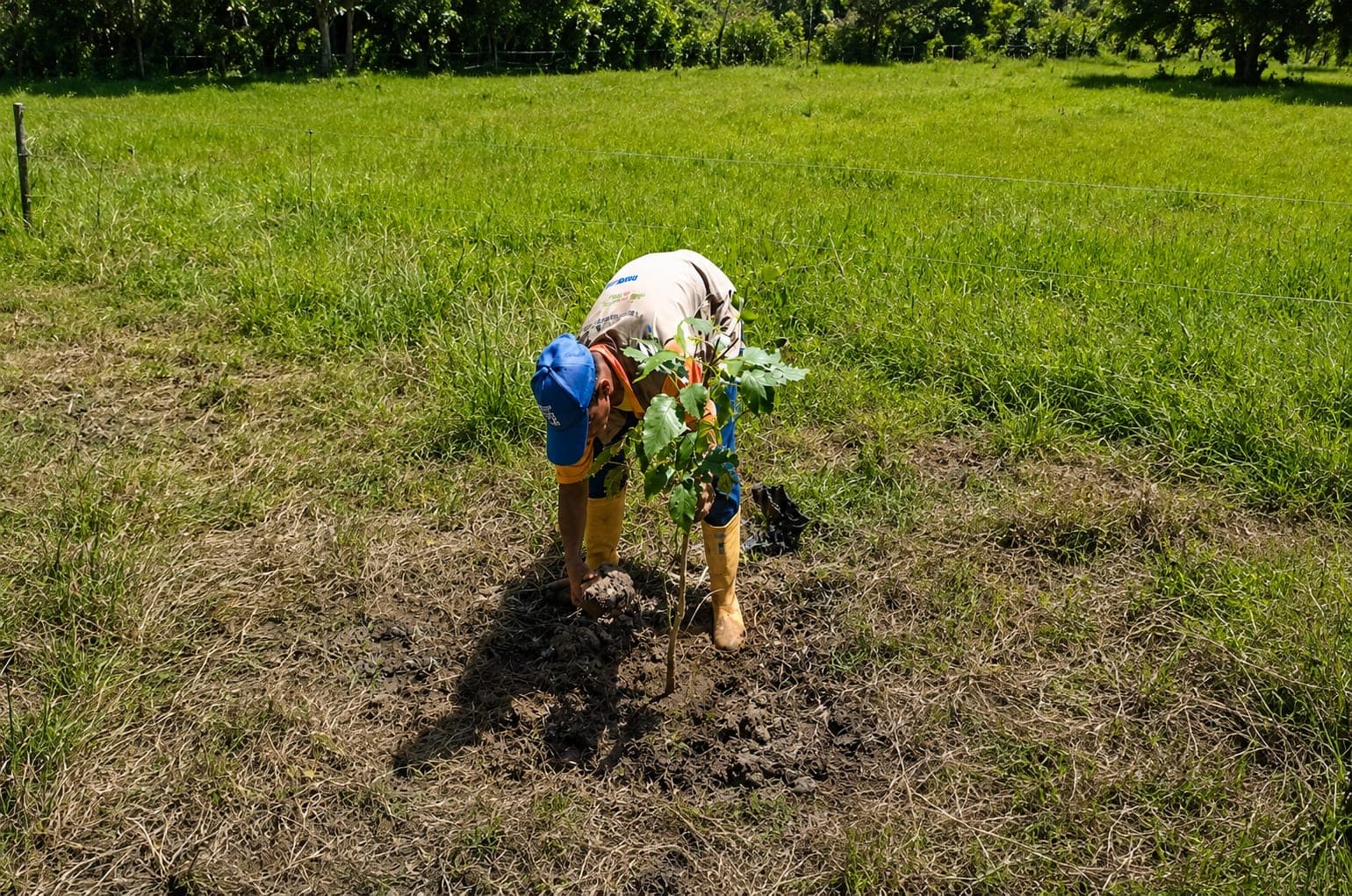 Operario agachado abre un hoyo con herramienta manual en una pradera abierta bajo el sol.